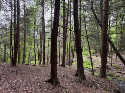 Land for sale in Steuben County, New York