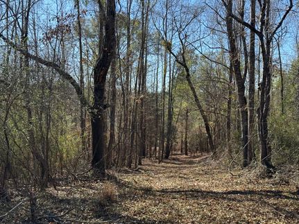 Undeveloped Land for sale in Hale County, Alabama