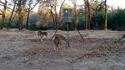 Recreational Property for sale in Lee County, Texas