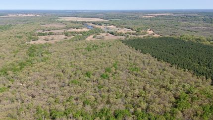 Undeveloped Land for sale in Red River County, Texas