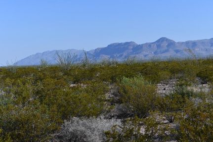 Farm and Ranch for sale in Presidio County, Texas
