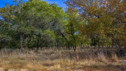 Farm and Ranch for sale in Guadalupe County, Texas