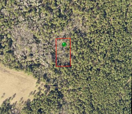 Farm and Ranch for sale in Volusia County, Florida