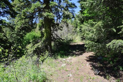 Land for sale in Adams County, Idaho