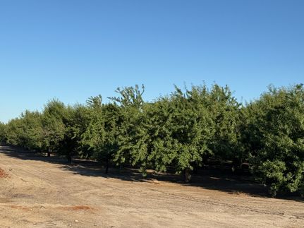 Land for sale in Stanislaus County, California