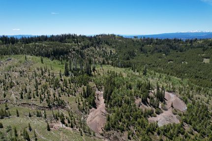 Land for sale in Adams County, Idaho
