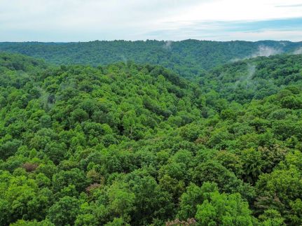 Farm and Ranch for sale in Lawrence County, Ohio