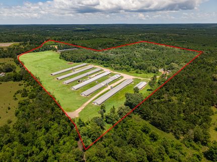 Farm and Ranch for sale in San Augustine County, Texas