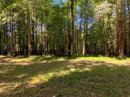 Timberland Property for sale in Lamar County, Alabama