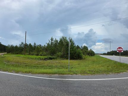 Land for sale in Ware County, Georgia