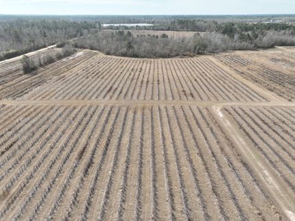Land for sale in Jeff Davis County, Georgia