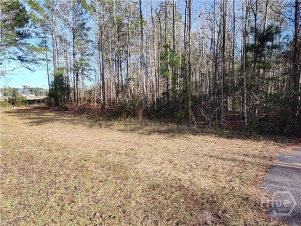 Farm and Ranch for sale in Chatham County, Georgia