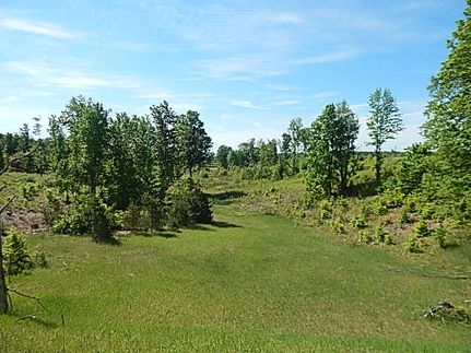 Land for sale in Wexford County, Michigan
