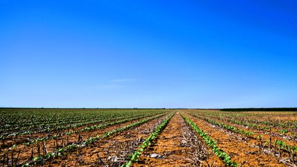 Farm and Ranch for sale in Floyd County, Texas