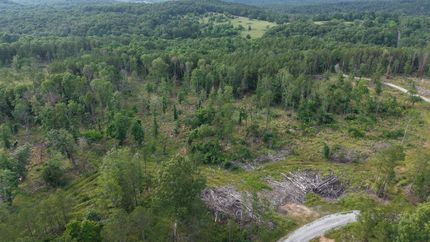 Land for sale in Fulton County, Arkansas