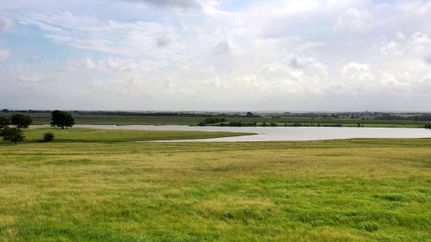 Timberland Property for sale in Hill County, Texas