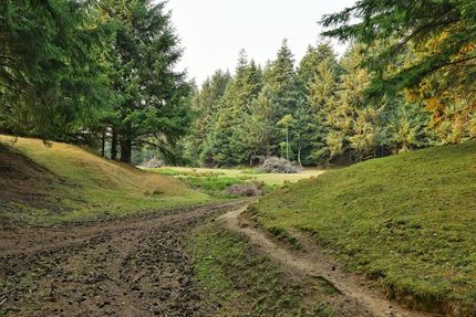 Hunting Property for sale in Curry County, Oregon