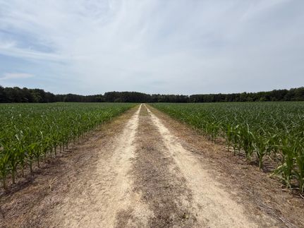 Recreational Property for sale in Sussex County, Virginia