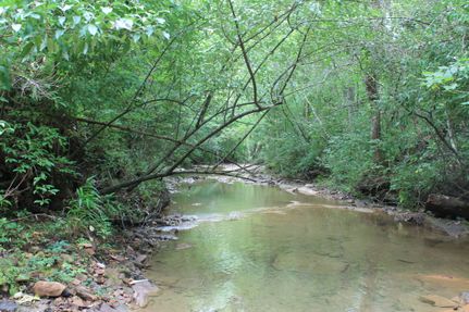 Undeveloped Land for sale in Scott County, Tennessee