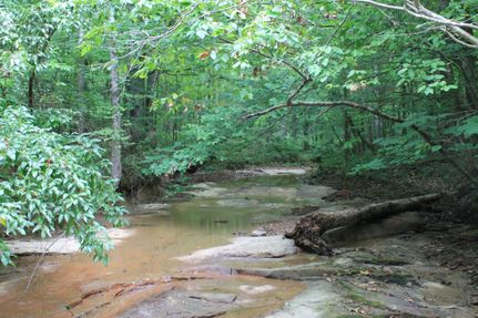 Land for sale in Scott County, Tennessee