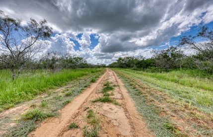 Land for sale in Duval County, Texas