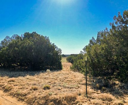 Undeveloped Land in Apache County, Arizona