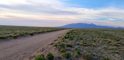 Timberland Property in Costilla County, Colorado