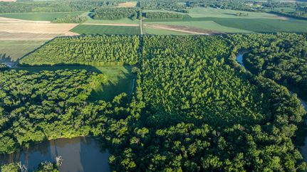 Land for sale in Wayne County, Illinois