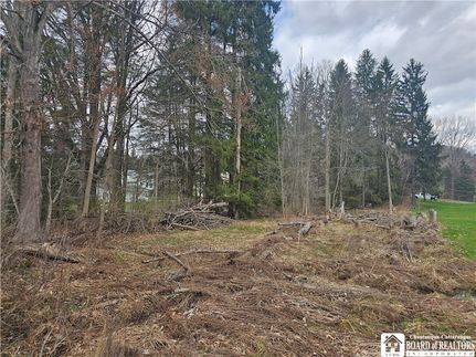 Farm and Ranch for sale in Cattaraugus County, New York