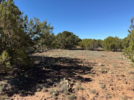 Farm and Ranch for sale in Apache County, Arizona