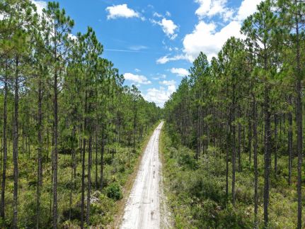 Farm and Ranch for sale in Charlton County, Georgia