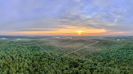 Farm and Ranch for sale in Texas County, Missouri