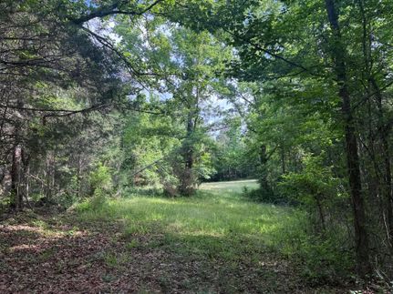 Land for sale in Pickens County, Alabama