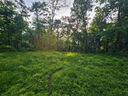 Undeveloped Land for sale in Washington County, Pennsylvania