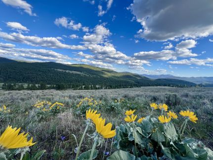 Farm and Ranch for sale in Okanogan County, Washington
