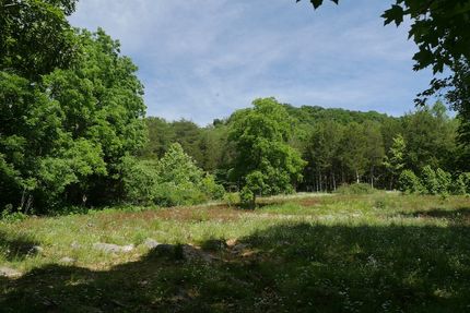 Hunting Property for sale in Scott County, Virginia