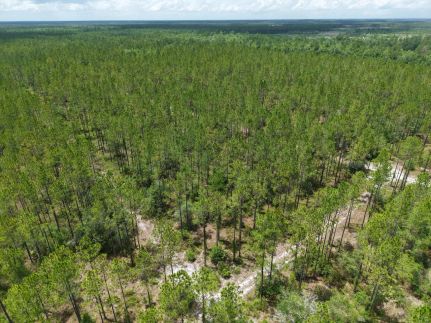Farm and Ranch for sale in Charlton County, Georgia