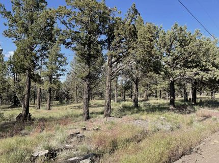 Recreational Property for sale in Modoc County, California
