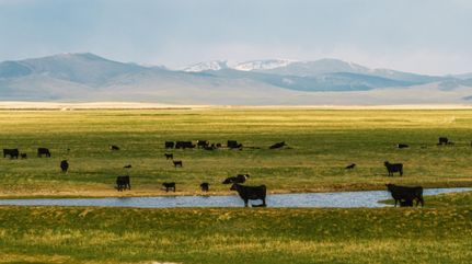 Recreational Property for sale in Judith Basin County, Montana