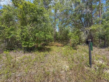 Farm and Ranch for sale in Gilchrist County, Florida