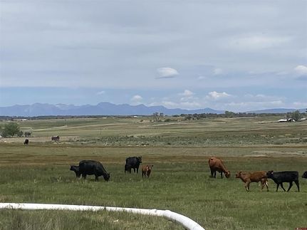 Land for sale in La Plata County, Colorado