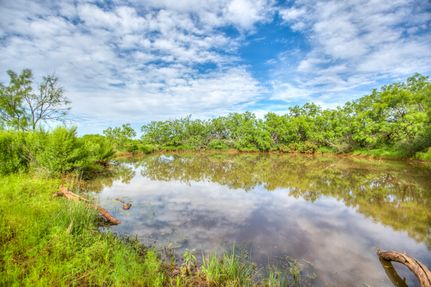 Farm and Ranch for sale in Coke County, Texas