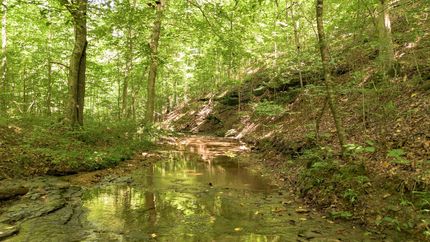 Undeveloped Land for sale in Davidson County, Tennessee