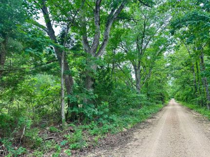 Undeveloped Land for sale in Carter County, Missouri