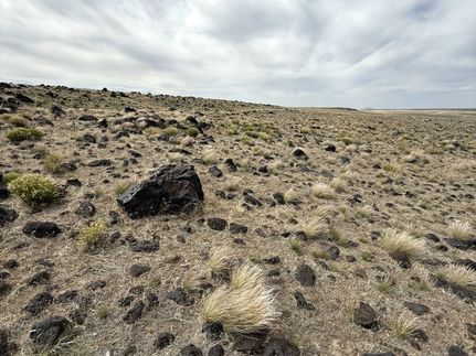 Farm and Ranch for sale in Millard County, Utah