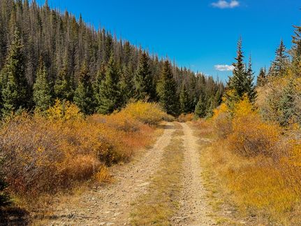 Farm and Ranch in Costilla County, Colorado