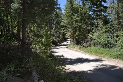 Timberland Property for sale in Sanpete County, Utah