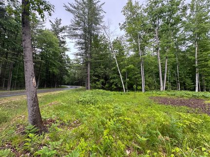 Undeveloped Land for sale in Gladwin County, Michigan