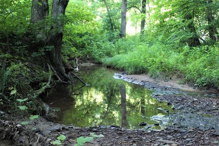 Land for sale in Morgan County, Kentucky