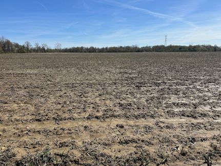Timberland Property for sale in Saint Clair County, Michigan